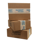 12-Month Subscription