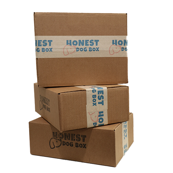 12-Month Subscription