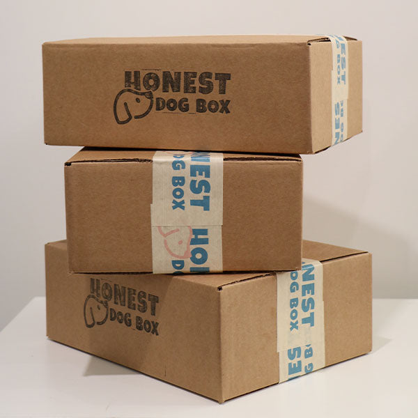 6-Month Subscription