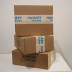 12-Month Subscription