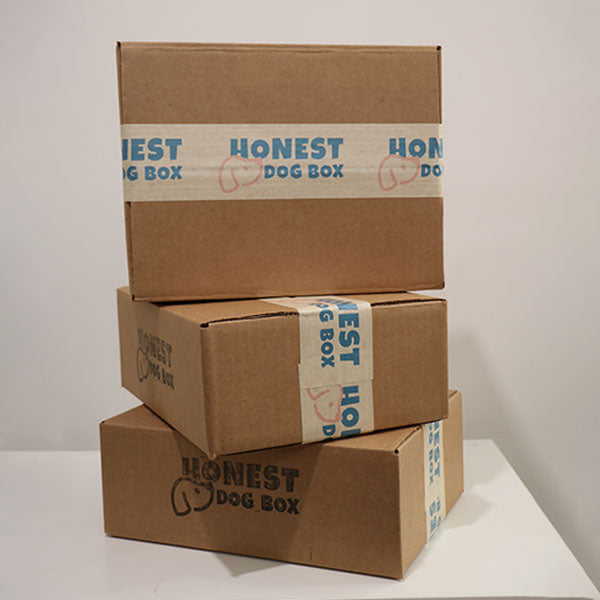 12-Month Subscription