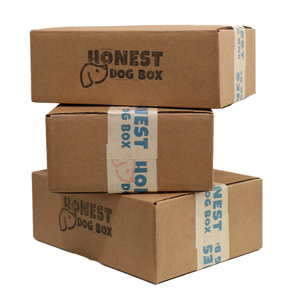 6-Month Subscription